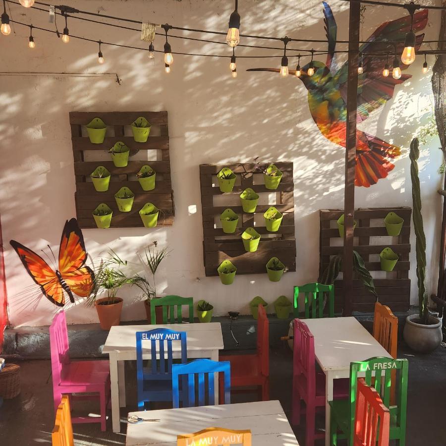 Casa Frida Tulum Exterior foto